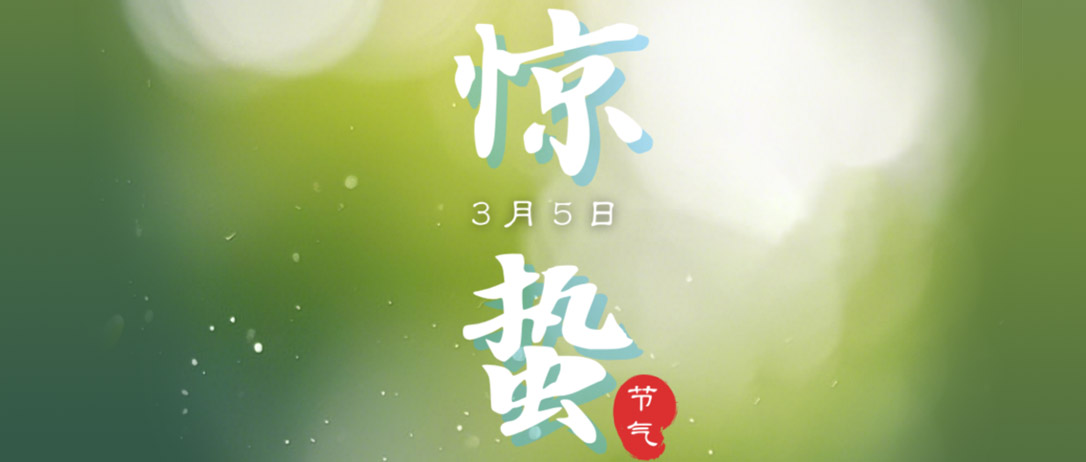 惊蛰万物苏，算力化宏图